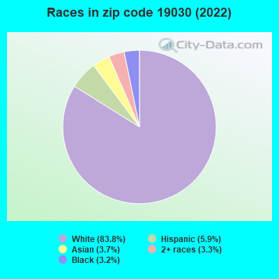 Races in zip code 19030 (2022)