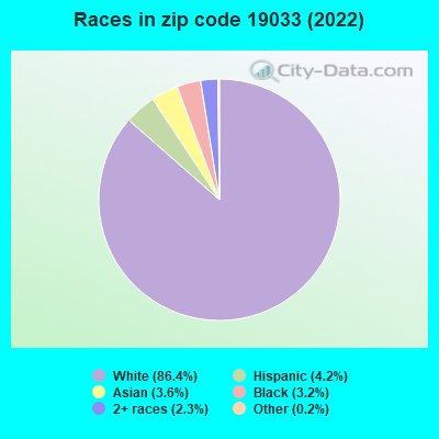 Races in zip code 19033 (2022)