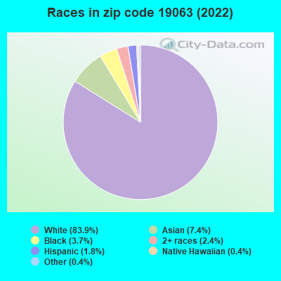Races in zip code 19063 (2022)
