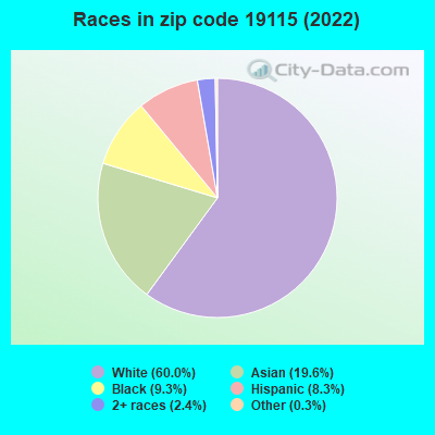 Races in zip code 19115 (2022)