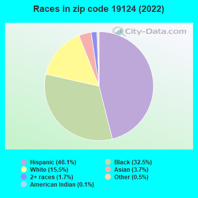 Races in zip code 19124 (2022)