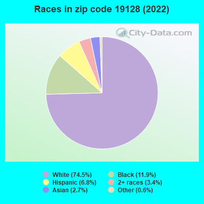 Races in zip code 19128 (2022)