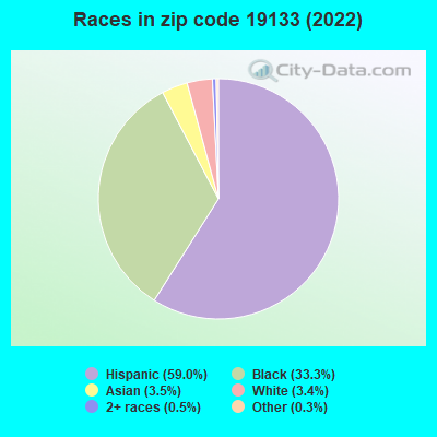 Races in zip code 19133 (2022)