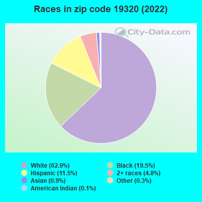 Races in zip code 19320 (2022)