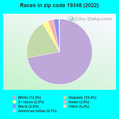 Races in zip code 19348 (2022)