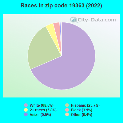 Races in zip code 19363 (2022)