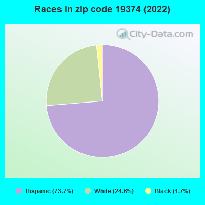 Races in zip code 19374 (2022)