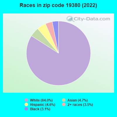 Races in zip code 19380 (2022)