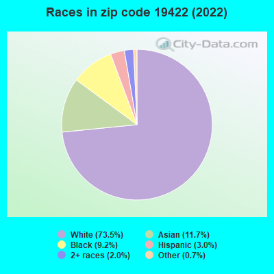 Races in zip code 19422 (2022)
