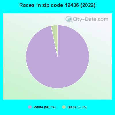 Races in zip code 19436 (2022)
