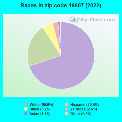 Races in zip code 19607 (2022)