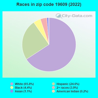 Races in zip code 19609 (2022)