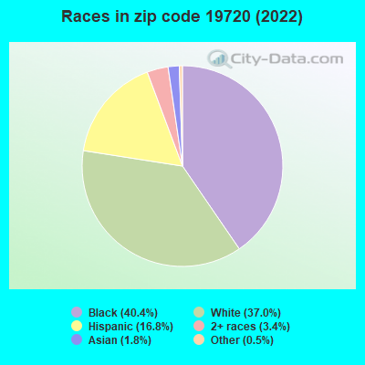 Races in zip code 19720 (2022)