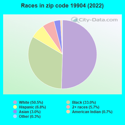 Races in zip code 19904 (2022)