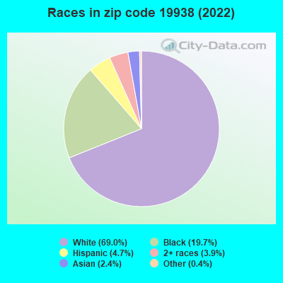 Races in zip code 19938 (2022)