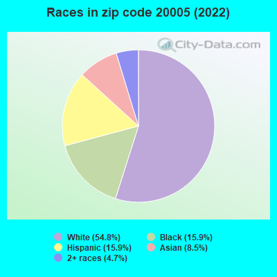 Races in zip code 20005 (2022)