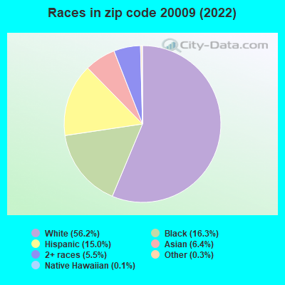 Races in zip code 20009 (2022)