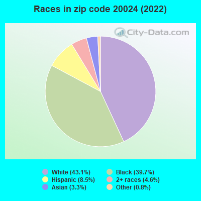 Races in zip code 20024 (2022)