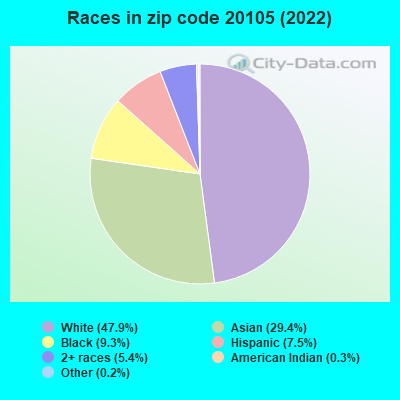 Races in zip code 20105 (2022)