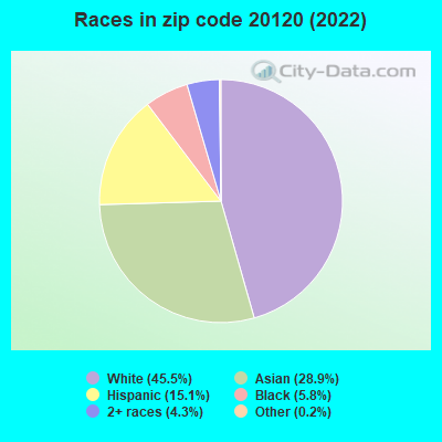 Races in zip code 20120 (2022)