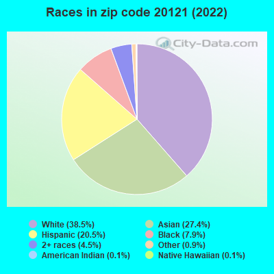 Races in zip code 20121 (2022)