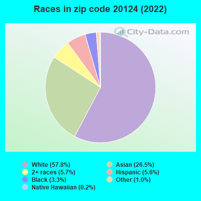 Races in zip code 20124 (2022)