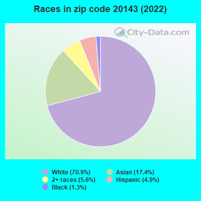 Races in zip code 20143 (2022)