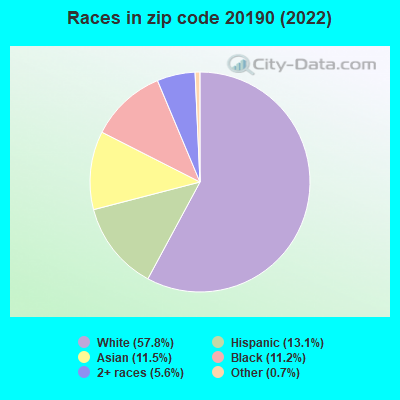 Races in zip code 20190 (2022)