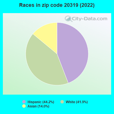 Races in zip code 20319 (2022)