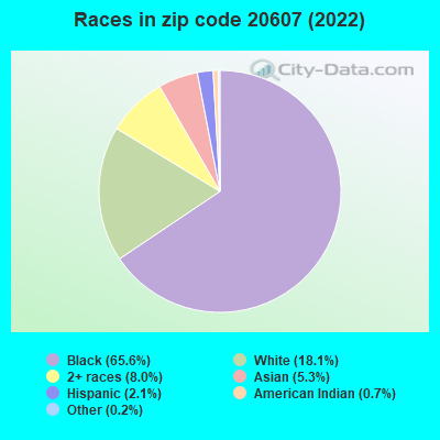 Races in zip code 20607 (2022)