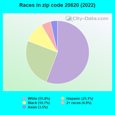 Races in zip code 20620 (2022)
