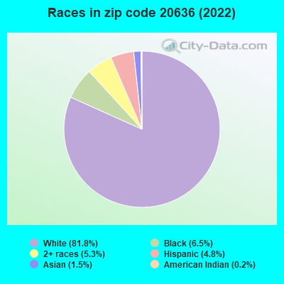 Races in zip code 20636 (2022)