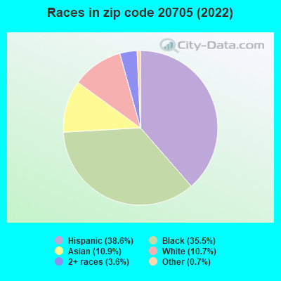 Races in zip code 20705 (2022)