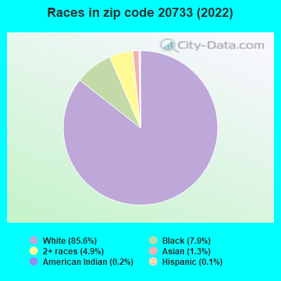 Races in zip code 20733 (2022)