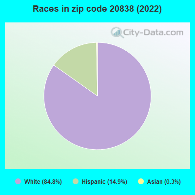 Races in zip code 20838 (2022)