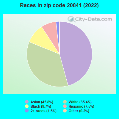 Races in zip code 20841 (2022)