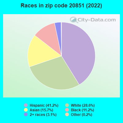 Races in zip code 20851 (2022)
