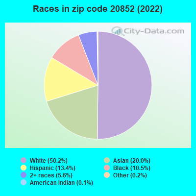 Races in zip code 20852 (2022)
