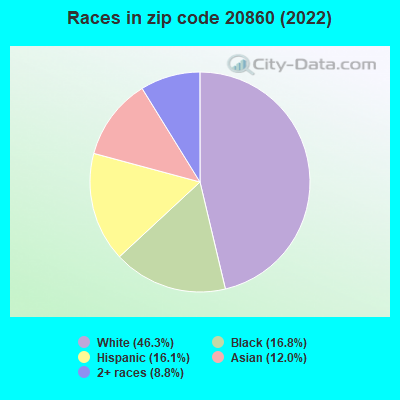 Races in zip code 20860 (2022)