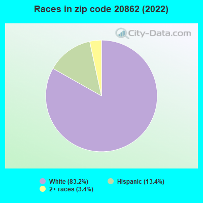 Races in zip code 20862 (2022)