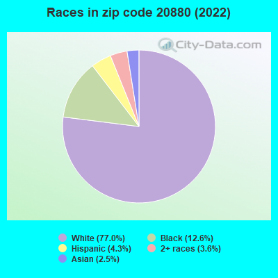 Races in zip code 20880 (2022)