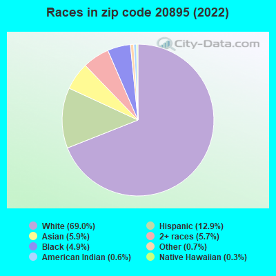 Races in zip code 20895 (2022)
