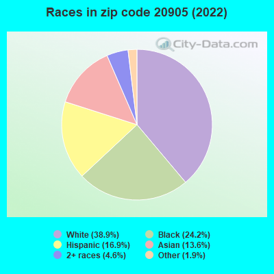 Races in zip code 20905 (2022)