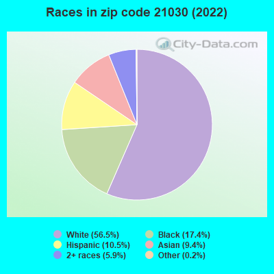Races in zip code 21030 (2022)