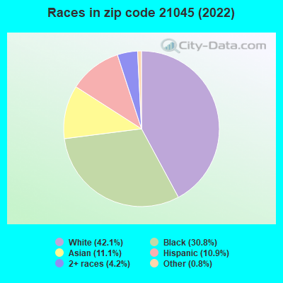Races in zip code 21045 (2022)