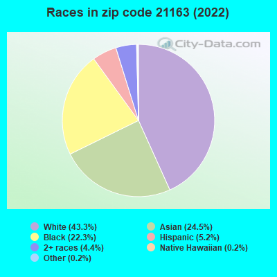 Races in zip code 21163 (2022)