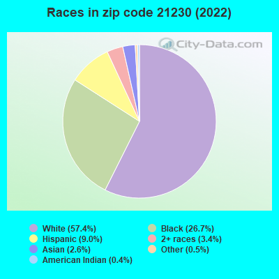 Races in zip code 21230 (2019)
