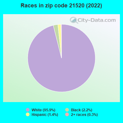 Races in zip code 21520 (2022)