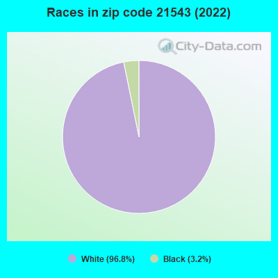 Races in zip code 21543 (2022)