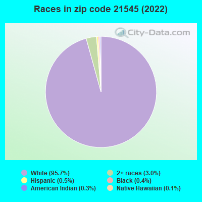 Races in zip code 21545 (2022)